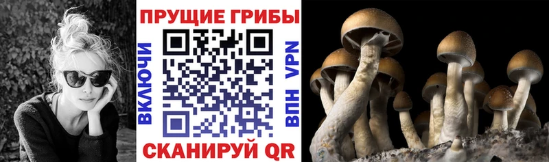 Галлюциногенные грибы MAGIC MUSHROOMS  KRAKEN ССЫЛКА  Волчанск 